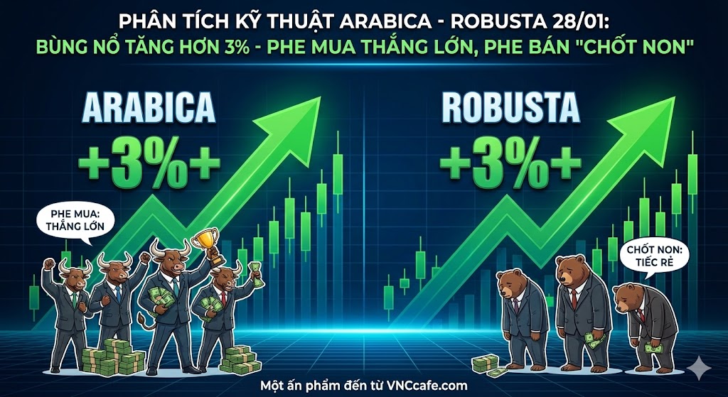 Phân tích kỹ thuật Arabica - Robusta 28/01: BÙNG NỔ TĂNG HƠN 3% - PHE MUA THẮNG LỚN, PHE BÁN 